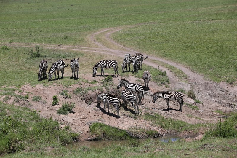 Maasai Mara National Reserve